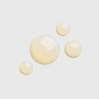 Elixir Absoluto de Nutrición