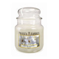 Vela Winter Jasmine